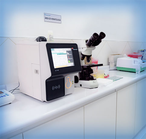 Laboratorio